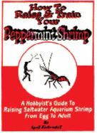 How to Raise & Train Your Peppermint Shrimp