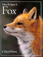 How to Spot a Fox