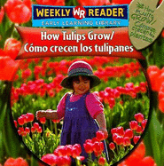 How Tulips Grow / Cmo Crecen Los Tulipanes