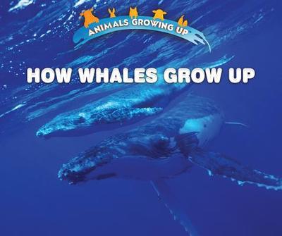 How Whales Grow Up - Idzikowski, Lisa