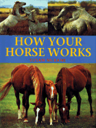 How Your Horse Works