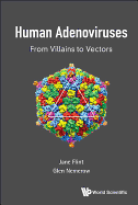 Human Adenoviruses: From Villains to Vectors