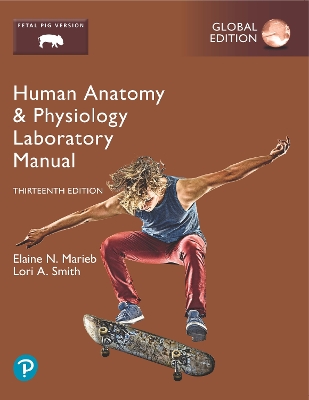 Human Anatomy & Physiology Laboratory Manual, Fetal Pig Version, Global Edition - Marieb, Elaine, and Smith, Lori