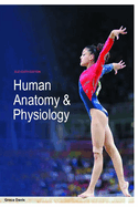 Human Anatomy & Physiology