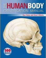 Human Body Identification Manual: Your Body and How it Works