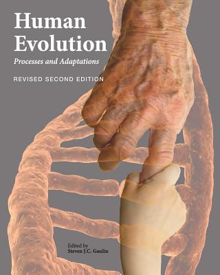 Human Evolution: Processes and Adaptations (Revised Second Edition) - Gaulin, Steven J C (Editor)