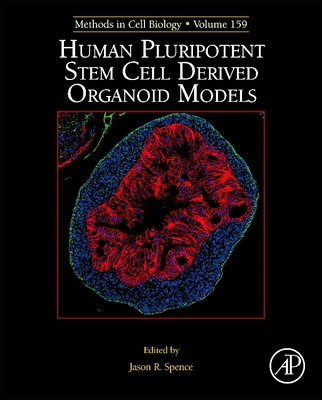 Human Pluripotent Stem Cell Derived Organoid Models: Volume 159 - Spence, J