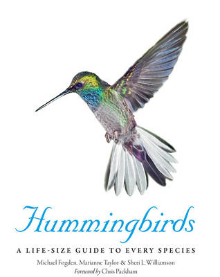 Hummingbirds: A Life-Size Guide to Every Species - Bishop-Stephens, Will