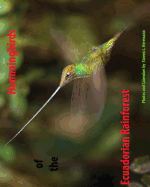 Hummingbirds of the Ecuadorian Rainforest: Calendar 2017