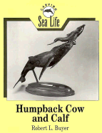 Humpback Cow