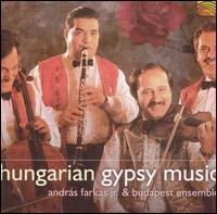 Hungarian Gypsy Music - Andras Farkas Jr.