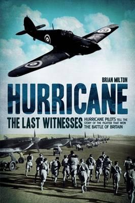 Hurricane: The Last Witnesses - Milton, Brian