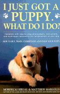 I Just Got a Puppy: What Do I Do?