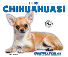 I Like Chihuahuas!