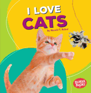 I Love Cats