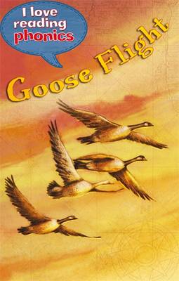 I Love Reading Phonics Level 5: Goose Flight - George, Lucy M., and Steel, Abigail (Contributions by)