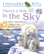 I Wonder Why: There's a Hole in the Sky: And Other Questions about the Environment