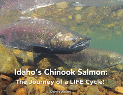 Idaho's Chinook Salmon: The Journey of a LIFE Cycle