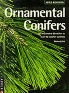 Identifying Ornamental Conifers