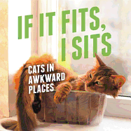 If It Fits, I Sits: Cats in Awkward Places