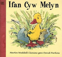 Ifan Cyw Melyn