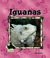 Iguanas