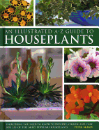 Illustrated A-Z Guide to Houseplants: Everything You Need to Know to Identify, Choose and Care for 350 of the Most Popular Houseplants