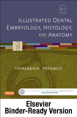 Illustrated Dental Embryology, Histology, and Anatomy - Binder Ready: Illustrated Dental Embryology, Histology, and Anatomy - Binder Ready - Fehrenbach, Margaret J, MS, and Popowics, Tracy