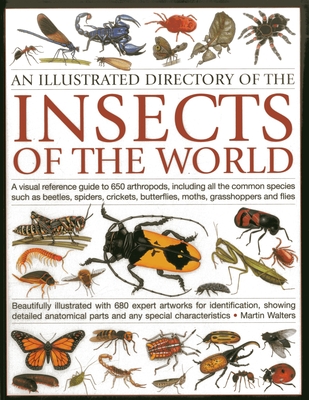 Illustrated Directory of Insects of the World: A Visual Reference Guide to 650 Arthropods, Including All the Common Species Such as Beetles, Spiders, Crickets, Butterflies, Moths, Grasshoppers and Flies - Walters, Martin