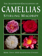 Illustrated Encyclopedia of Camellias