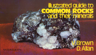 Illustrated guide to common rocks and their minerals