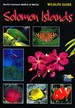 Wildlife Guide: Solomon Islands