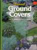 Ground Covers Over 100 Varieties for Every Landscape