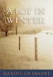 A Boy in Winter: a Novel