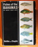 Fishes of the Bahamas and Adjacent Tropical Waters