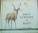 What Antelope is That?