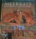 Meerkats