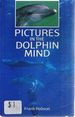 Pictures in the Dolphin Mind