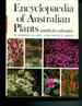 Encyclopaedia of Australian Plants Suitable for Cultivation Volume Two (2)