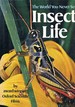 Insect Life: the World You Never See