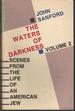 The Waters of Darkness: Scenes From the Life of an American Jew (Volume 2)