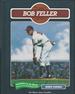 Bob Feller (Baseball Legends Series)