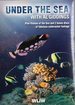 Under the Sea with Al Giddings: Boxed Set (4 DVDs)