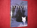 Coyote. Seeking the Hunter in Our Midst