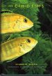 The Cichlid Fishes: Nature's Grand Experiment in Evolution