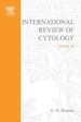 International Review of Cytology V24