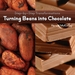 Turning Beans Into Chocolate