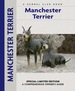 Manchester Terrier