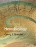 Neurobiology: a Functional Approach