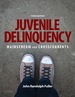 Juvenile Delinquency: Mainstream and Crosscurrents